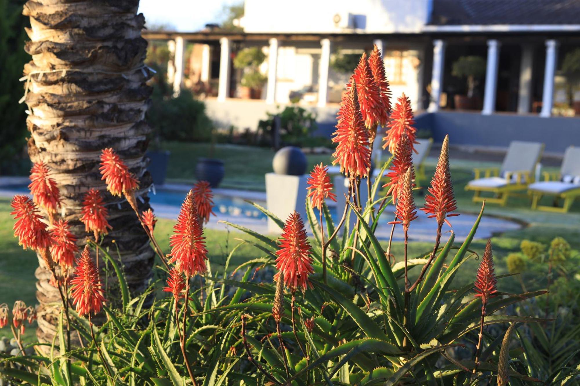 Thylitshia Villa Country Guest House オーツホーン エクステリア 写真
