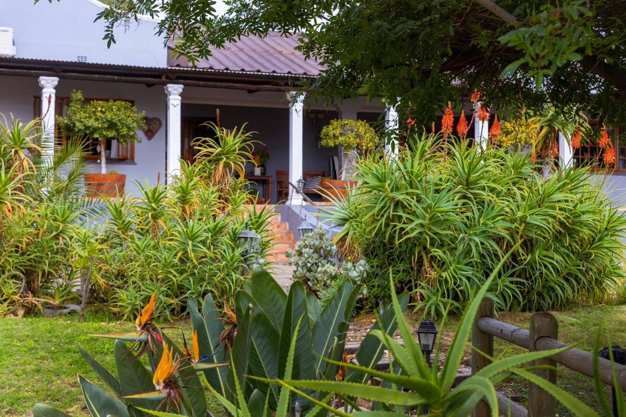 Thylitshia Villa Country Guest House オーツホーン エクステリア 写真