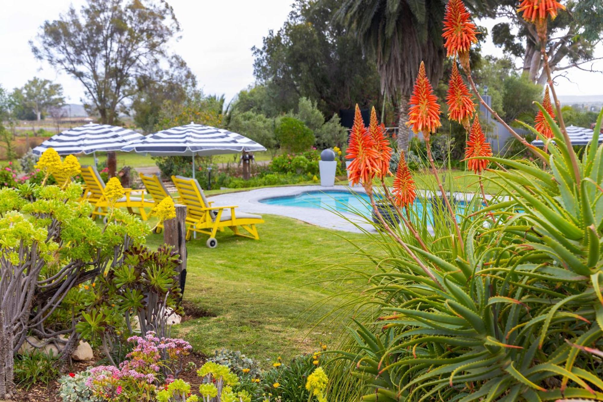 Thylitshia Villa Country Guest House オーツホーン エクステリア 写真